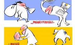 Pravda je slijepa za kriminal