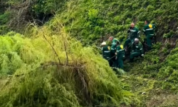 Dok „riva“ guta zelenilo, ekološki ugovori idu podobnima