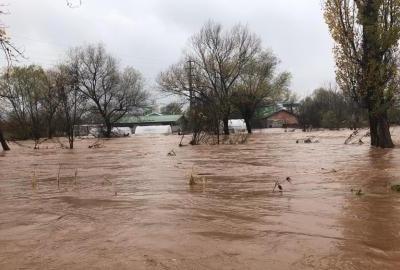 Poplave su rezultat divlje gradnje, deponija, sječe šuma, klizišta, mini hidroelektrana...