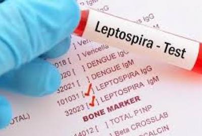 Sarajlije obolijevaju od leptospiroze zbog kašnjenja administracije