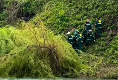 Dok „riva“ guta zelenilo, ekološki ugovori idu podobnima
