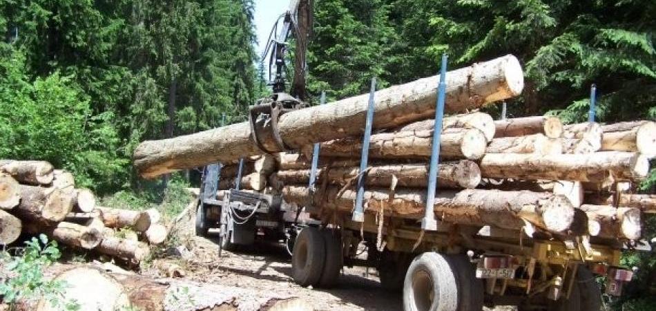 Preduzeće Sarajevo šume platilo milion maraka privatnim firmama