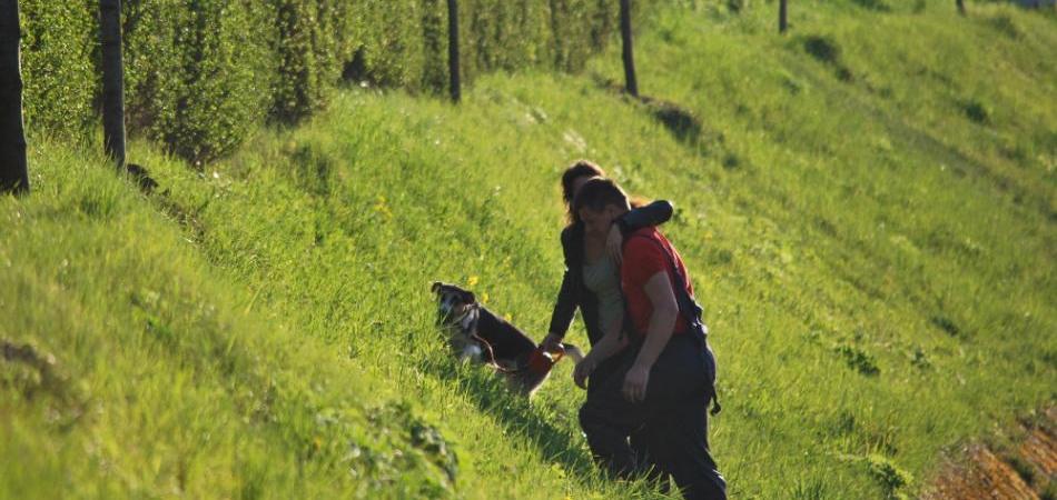 Ljudi & životinje: Radnik spasio psa iz Miljacke