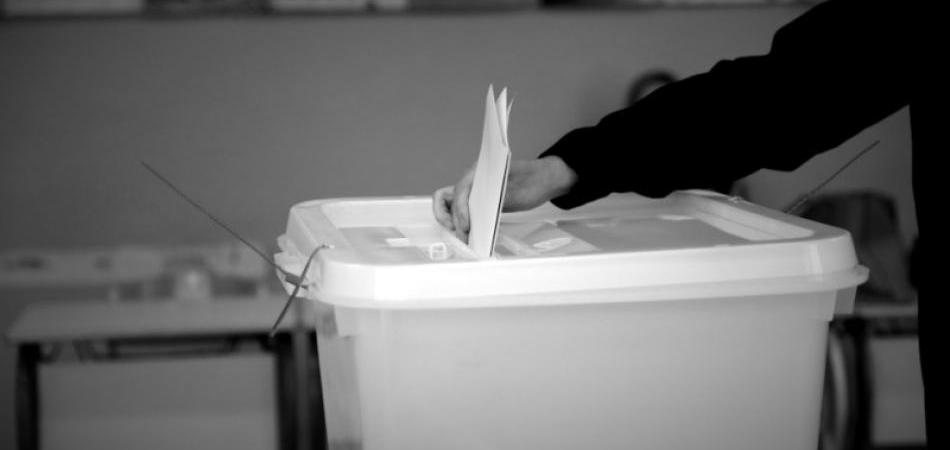 Opozicija pred vratima, protesti ugušeni, protivnici pretučeni, intervenisao pas... 