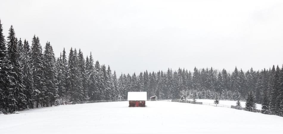 Prevariti naviku