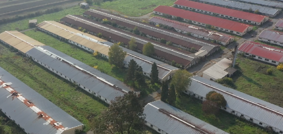 Svinjogojska na dobošu, Ratarstvo 13 godina u stečaju (VIDEO)