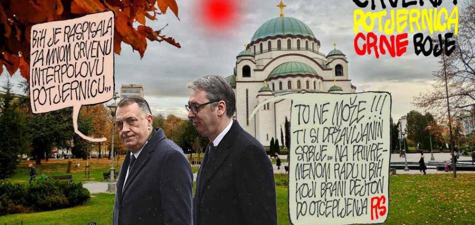 Crvena potjernica, crne boje