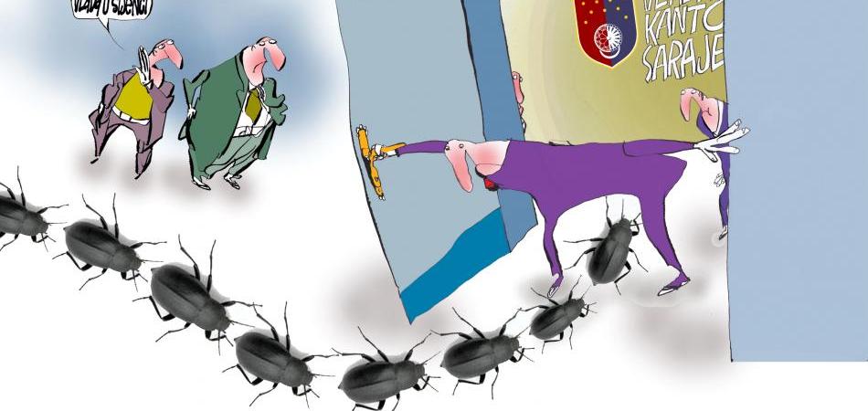 Žohari u sjeni