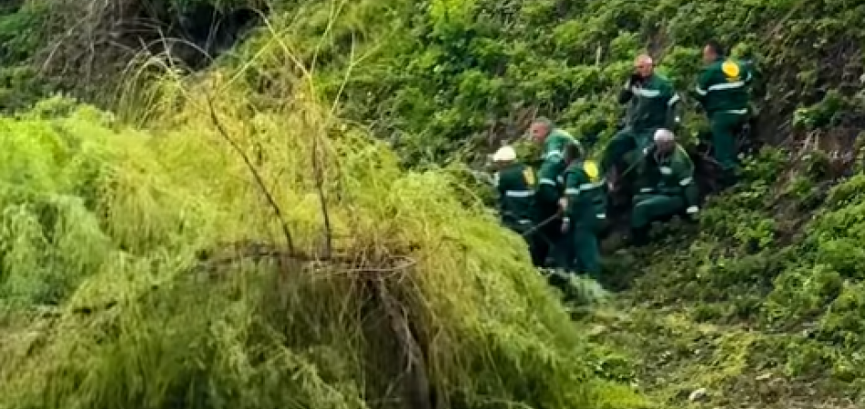 Dok „riva“ guta zelenilo, ekološki ugovori idu podobnima