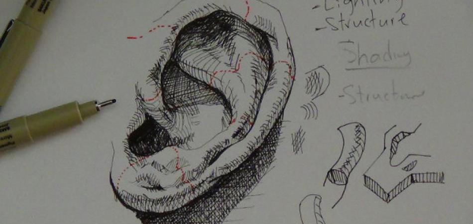 SEFKE RECORDS: Tragična dimenzija uha