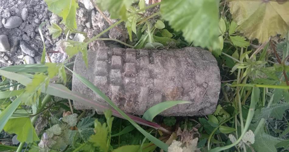 Porodica Šehić pod minama