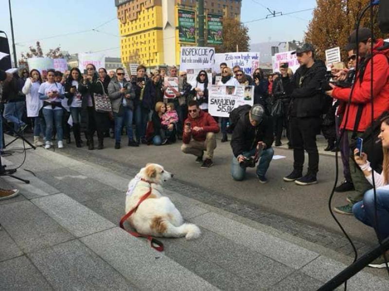 Zakon je mrtav kao i većina pasa