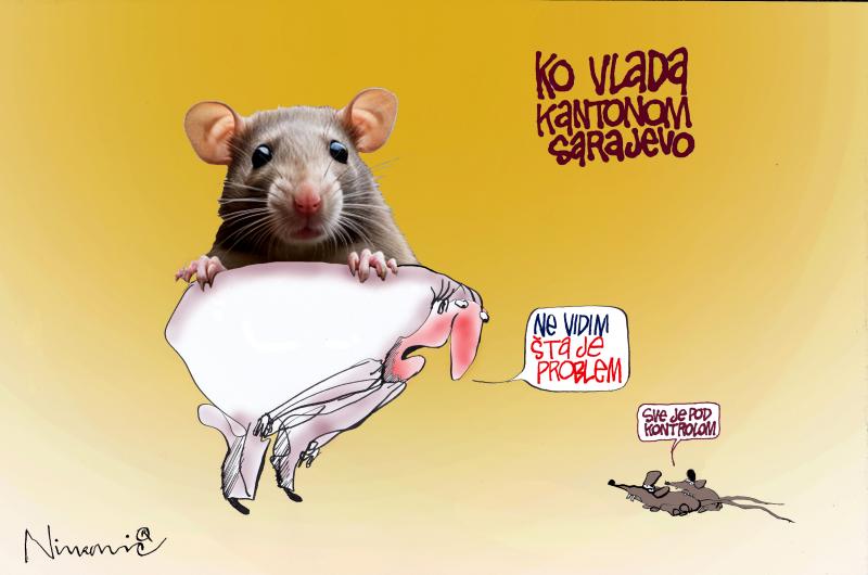 Najezda štakora