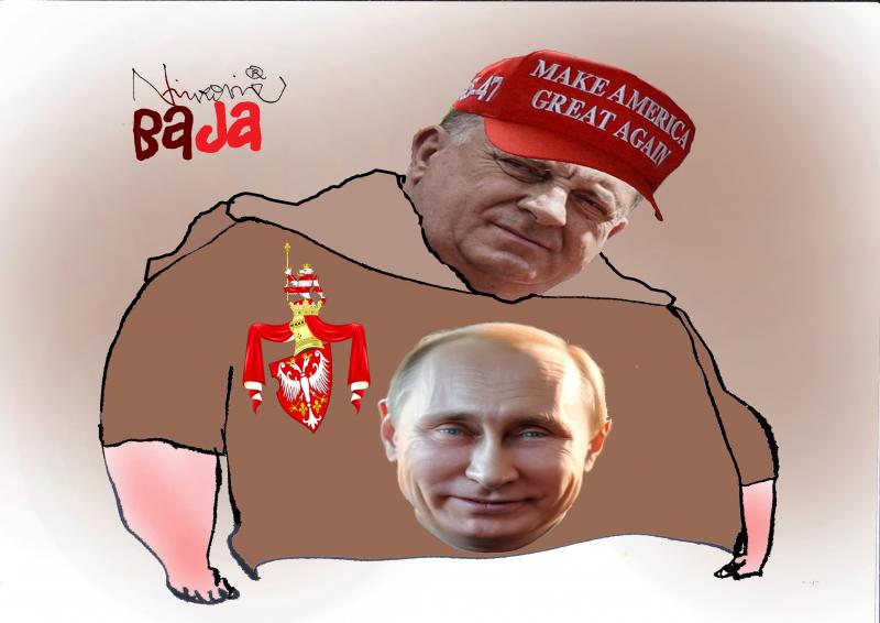 Kriza identiteta