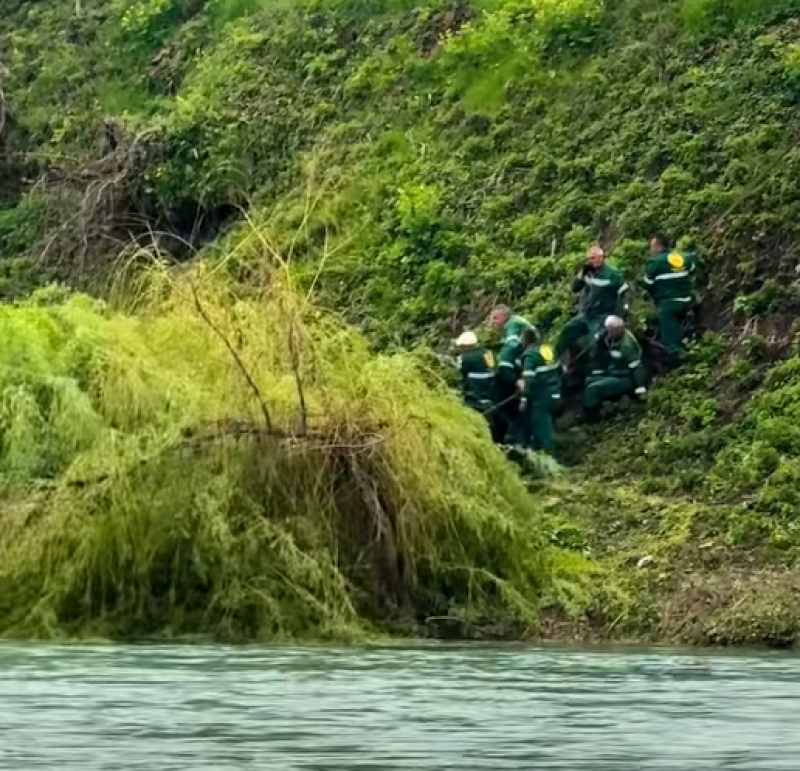 Dok „riva“ guta zelenilo, ekološki ugovori idu podobnima