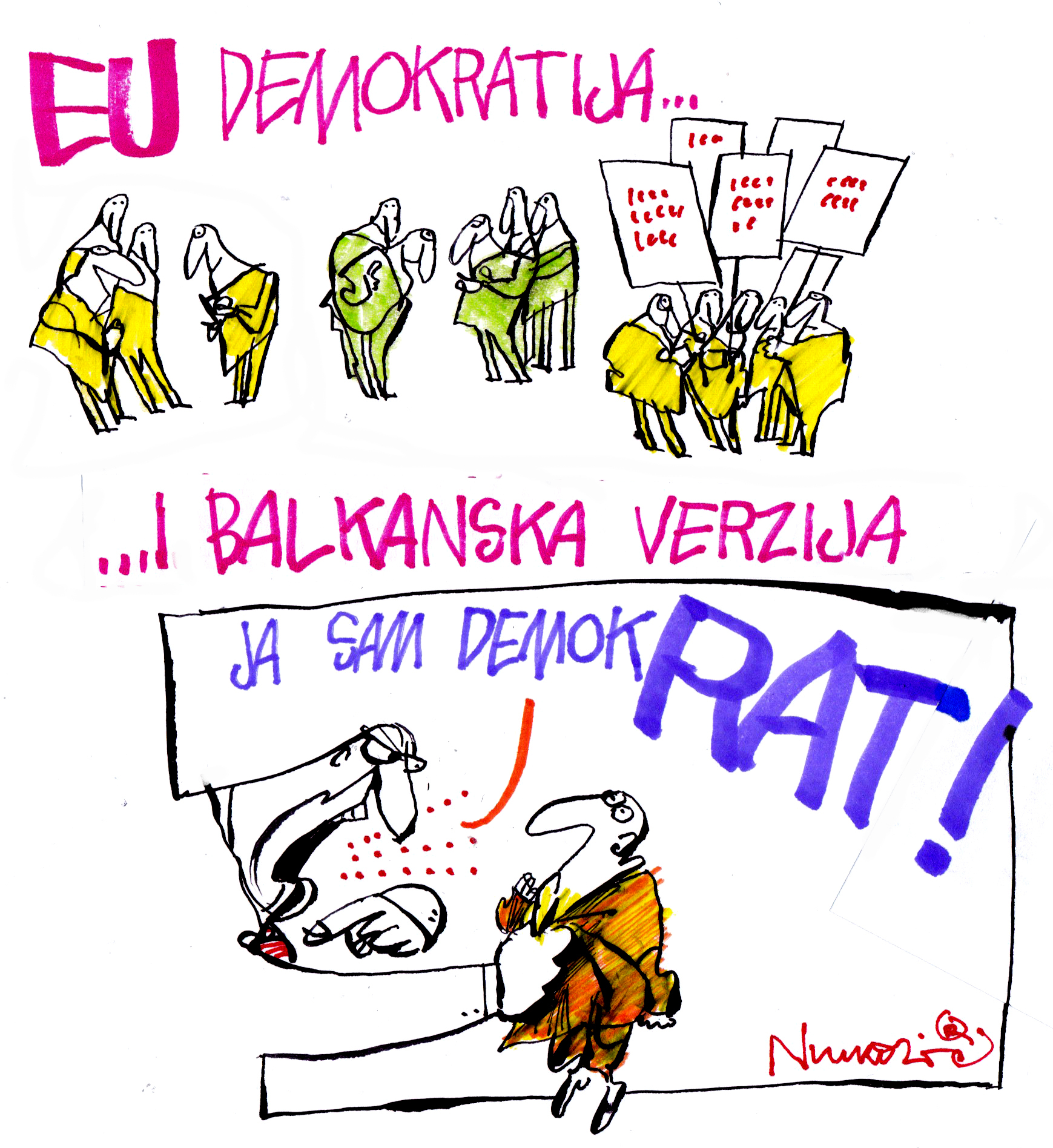 9 rat